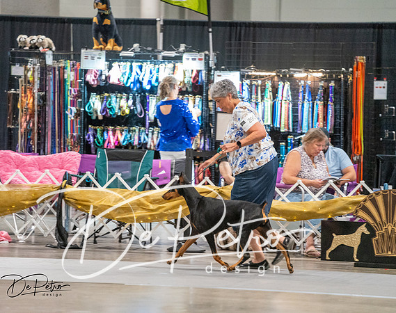 20260926-DSC04641