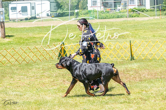 20230514-DSC07810