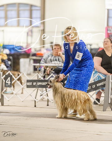 20230401-DSC08127