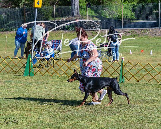 20230514-DSC02668