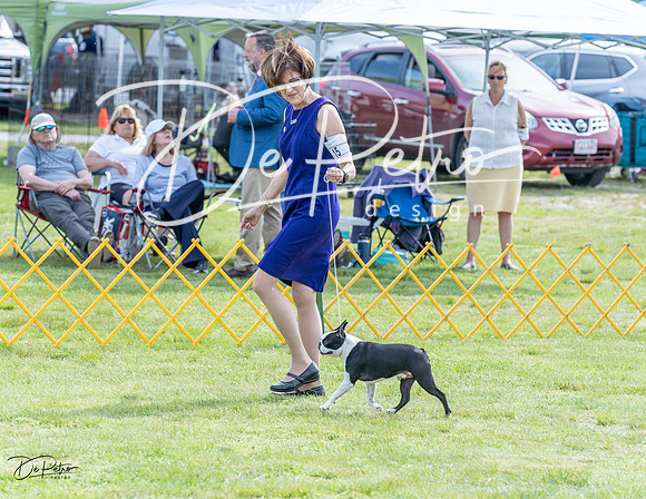20230513-DSC00402