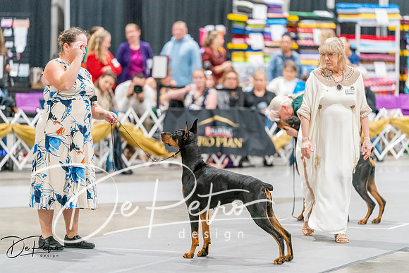 20261001-DSC07394