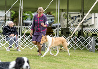 20230427-DSC06698
