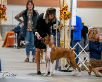 20261022-DSC02745