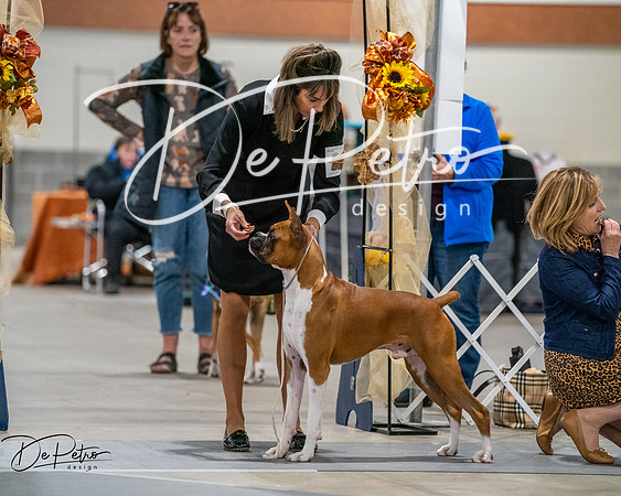 20261022-DSC02745