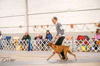20261024-DSC08312