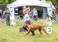 20230427-DSC06491