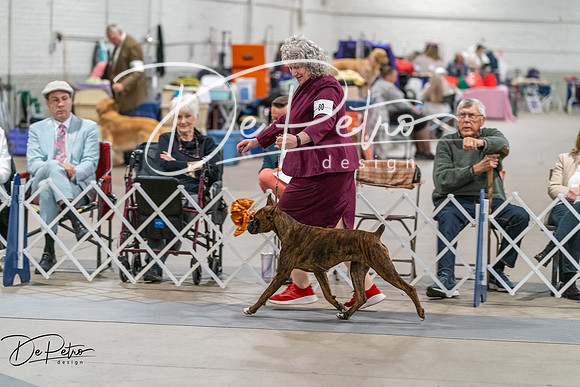 20261023-DSC05139