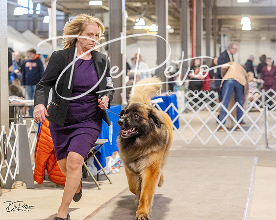 20230402-DSC09347