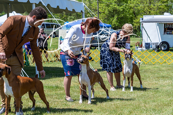 20230514-DSC04064