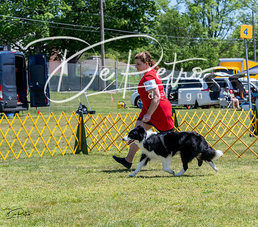 20230514-DSC04863
