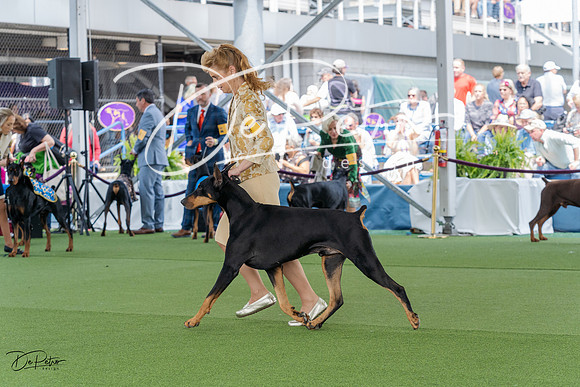 20230509-DSC01060