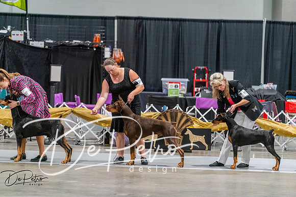 20260926-DSC04887