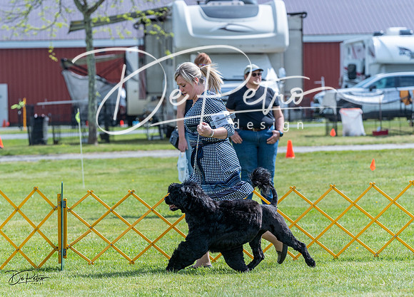 20230512-DSC05234