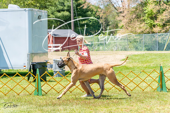 20230514-DSC07842