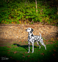 20261017-DSC08867