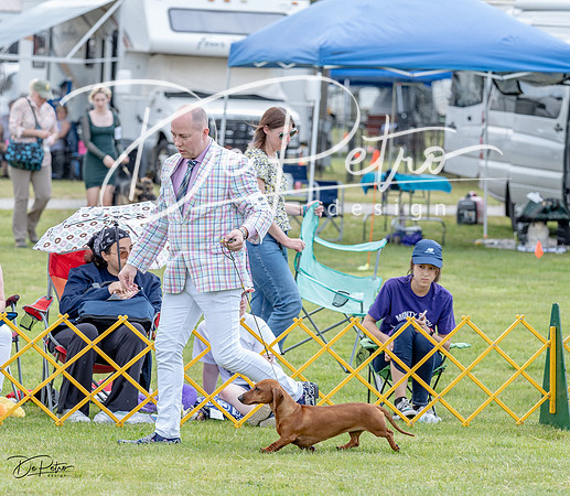 20230512-DSC03864