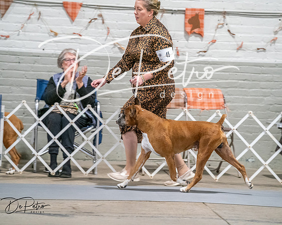 20261022-DSC02066