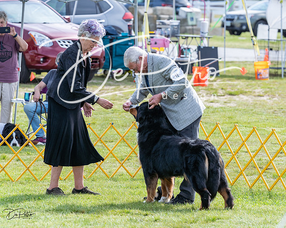 20230513-DSC00913