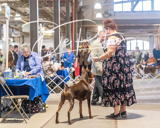 20230401-DSC06462