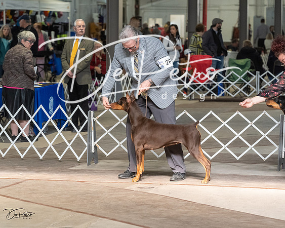 20230402-DSC08860