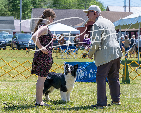20230514-DSC04716