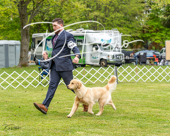 20230427-DSC03515