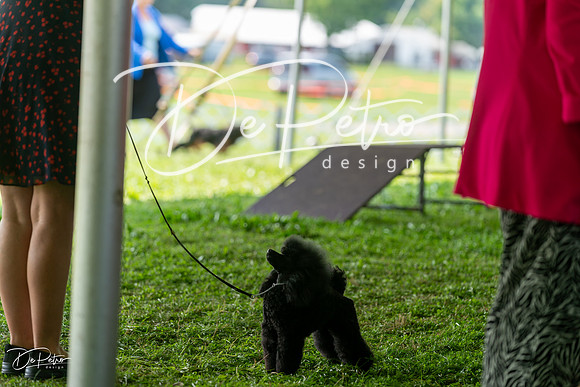 20240816-DSC00199