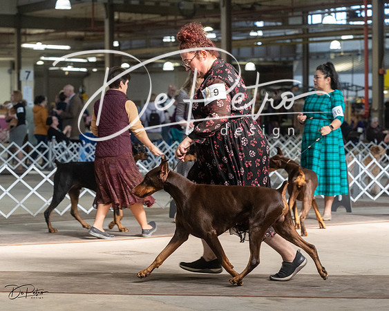 20230402-DSC08963