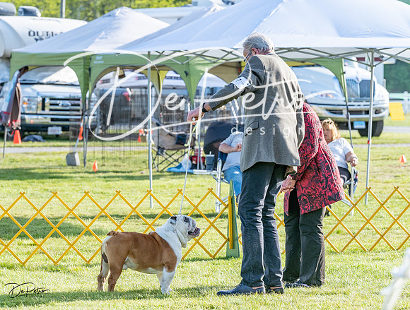 20230513-DSC02526