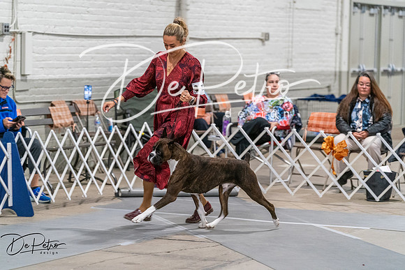20261023-DSC05580