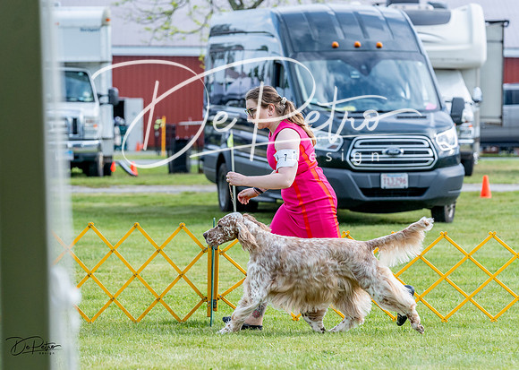 20230512-DSC06762