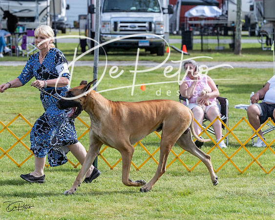 20230513-DSC00768