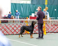 20261017-DSC08454