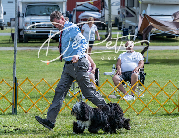 20230513-DSC00341