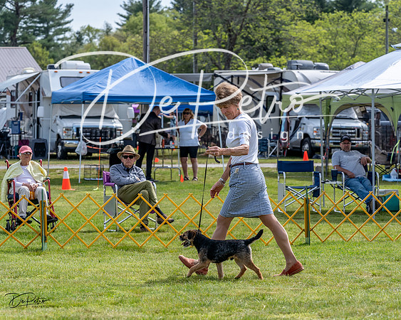 20230513-DSC00023