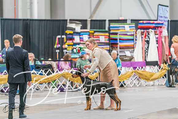 20260927-DSC05304