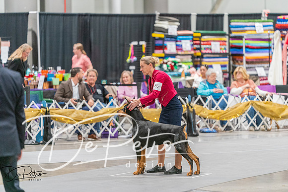 20260927-DSC05417