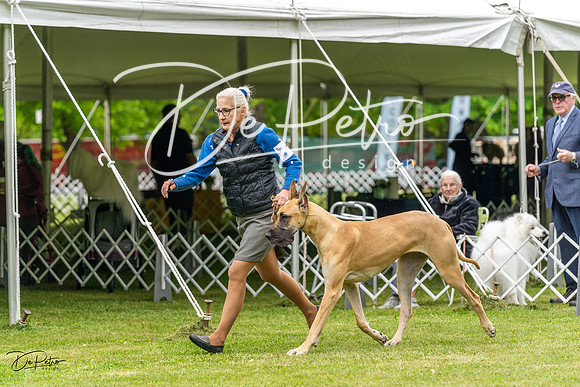 20230427-DSC02739
