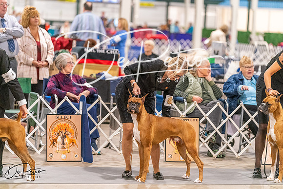 20261024-DSC08399