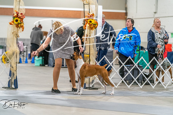 20261022-DSC00166