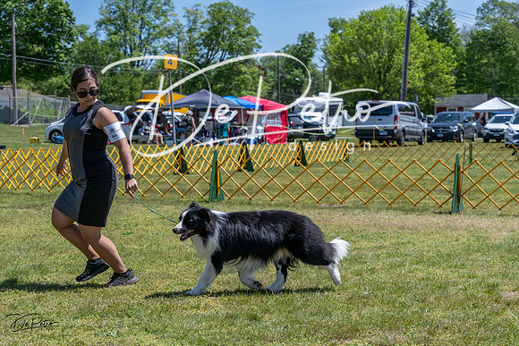 20230514-DSC04923