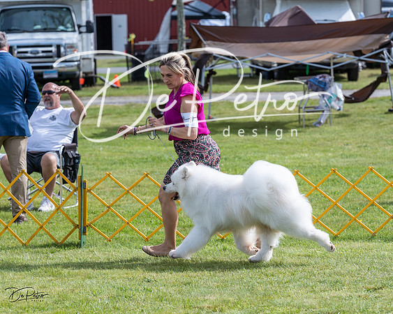 20230513-DSC00540
