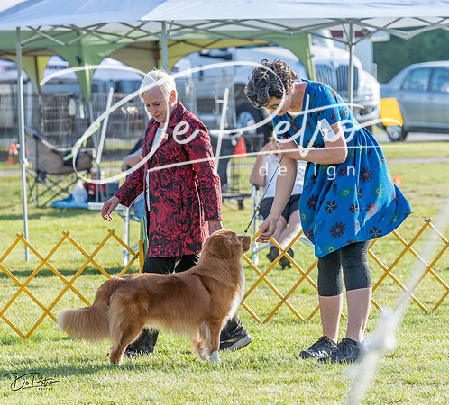20230513-DSC02489