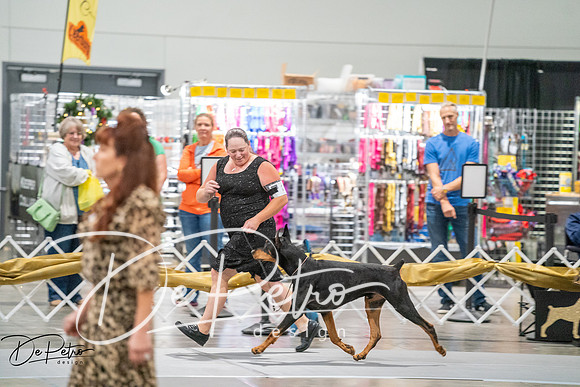 20260926-DSC04556