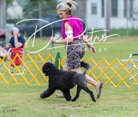 20230513-DSC08048