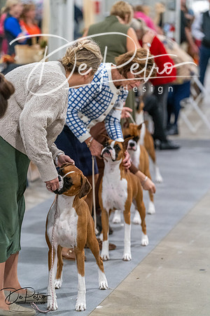 20261023-DSC04956