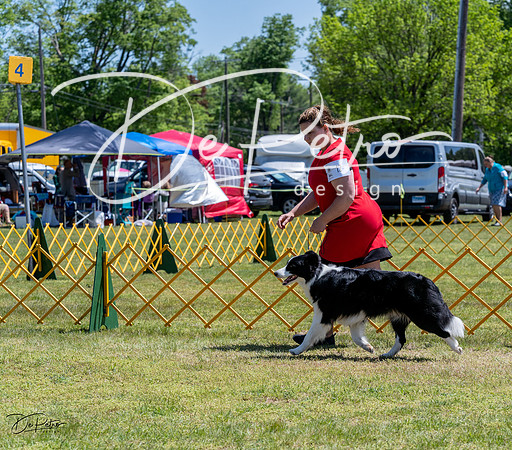 20230514-DSC04854
