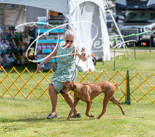 20230513-DSC09822