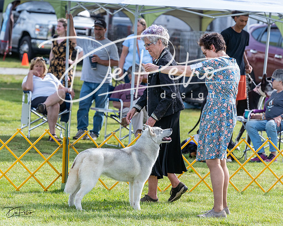 20230513-DSC01119